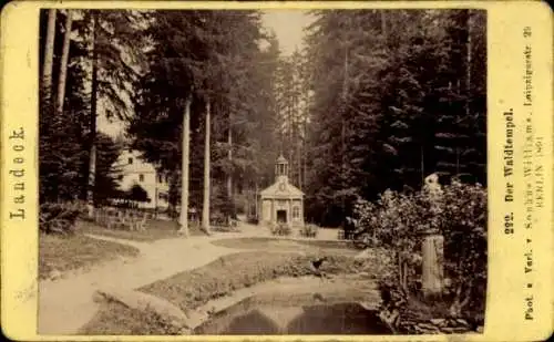 CdV Lądek Zdrój Bad Landeck Schlesien, Der Waldtempel, Fotograf Sophus Williams, Berlin, 1891