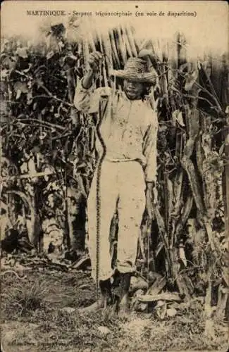 Ak Martinique, Mann am Feld mit Schlange