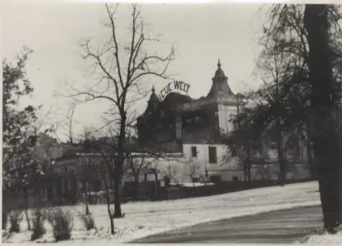 Original Foto Berlin Neukölln, Volkspark Hasenheide, Neue Welt, um 1946, ca. 13 x 18 cm