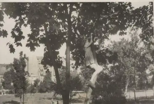 Original Foto Berlin Neukölln, Volkspark Hasenheide, um 1946, ca. 13 x 18 cm