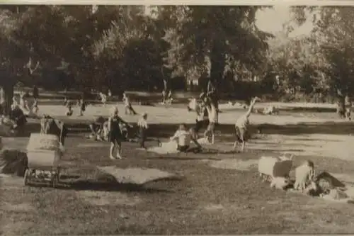 Original Foto Berlin Neukölln, Volkspark Hasenheide, um 1946, ca. 13 x 18 cm