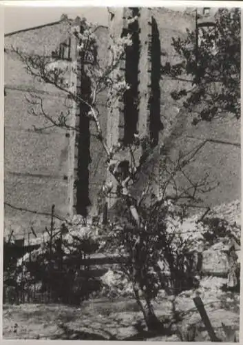 Original Foto Berlin Kreuzberg, Franz Mehring Straße (Mehringdamm), Magnolie, 1946, ca. 13 x 18 cm