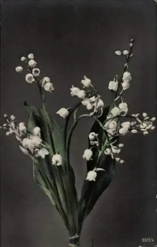 Ak Maiglöckchen, Blumen