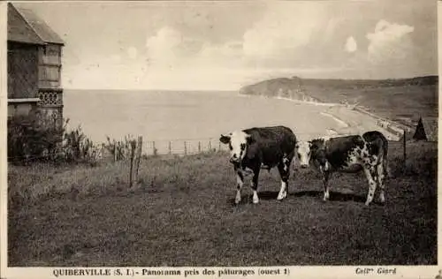 Ak Quiberville Seine-Maritime, Panorama pris des paturages, ouest 1, Kühe