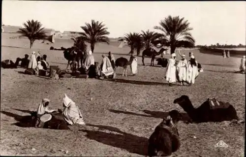 Ak Biskra Algerien, Kamele, Wüste, Palmen, Menschen in traditioneller Kleidung, Wüstenszene