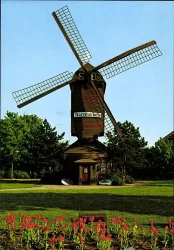 Ak Dülken Viersen Nordrhein Westfalen, Narrenmühle, grüne Wiese, Blumen im Vordergrund, Windmühle