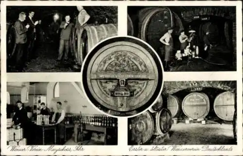 Ak Mayschoß an der Ahr, Winzerverein, Verkostung des Weines, Fässer