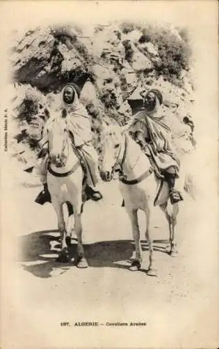 Ak Algerie, Cavaliers Arabes