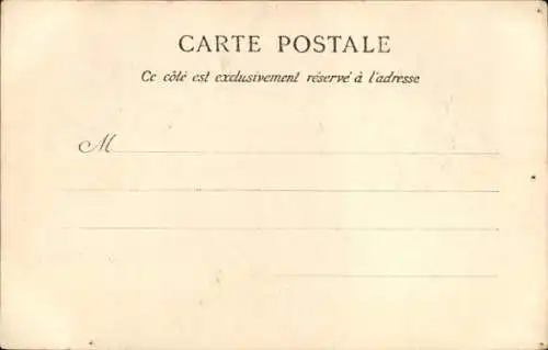 Ak Algerien, Verschleierte Frau