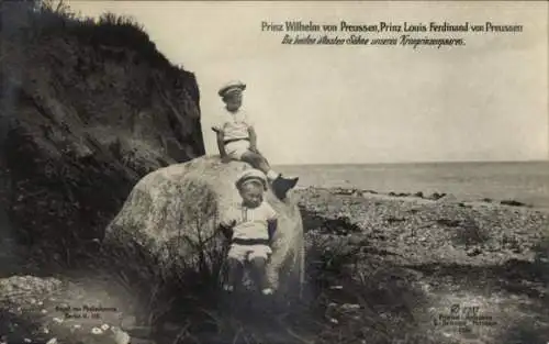 Ak Prinz Wilhelm von Preußen, Prinz Louis Ferdinand von Preußen