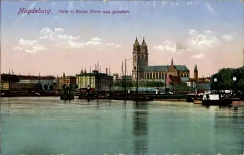 Ak Magdeburg an der Elbe, Dom vom Roten Horn aus