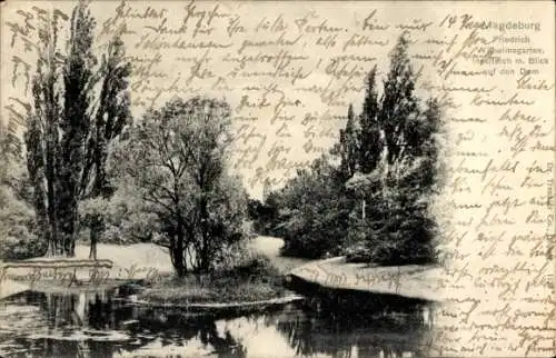 Ak Magdeburg an der Elbe, Friedrich Wilhelms Garten, Inselteich, Dom
