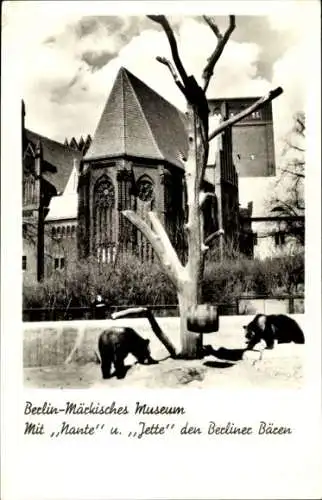 Ak Berlin Mitte, Märkisches Museum, Bären Nante und Jette