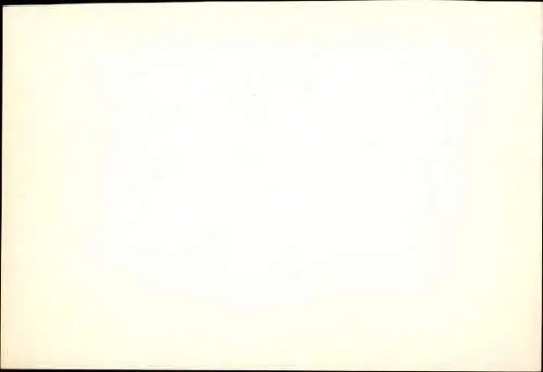 Foto Band Goldfinken, Autogramme