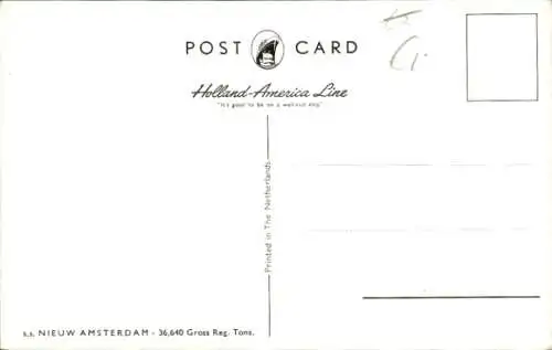 Ak SS Nieuw Amsterdam, Holland America Line