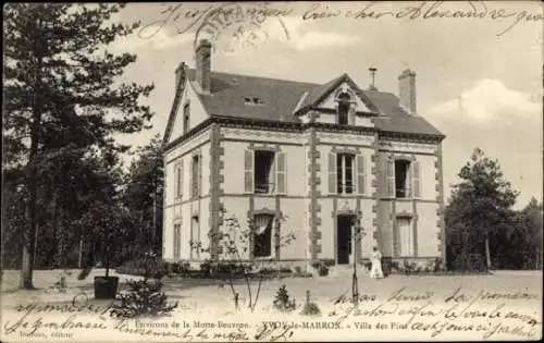 Ak Yvoy le Marron Loir et Cher, Villa des Pins
