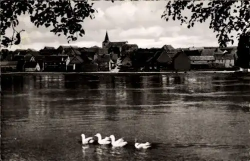 Ak Gramschatz Rimpar in Unterfranken, Panorama, Seepartie, Enten