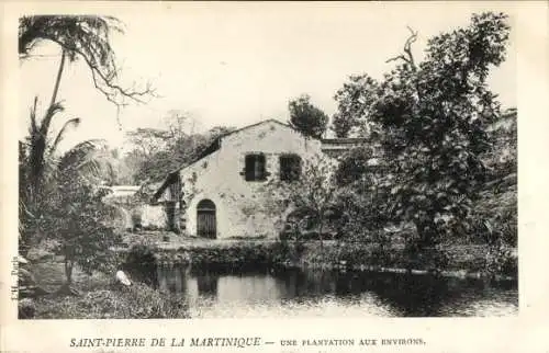 Ak Saint Pierre Martinique, Plantation, Wasserfläche, Gebäude, tropische Vegetation