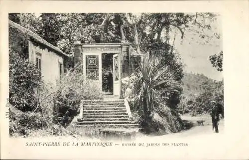 Ak Saint Pierre Martinique, Eingang des Jardin des Plantes, Treppen, Bäume, Architektur