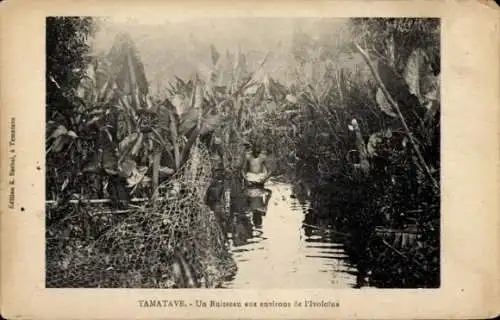 Ak Toamasina Tamatave Madagaskar,  Ruisseau, Umgebung, Ivololna, Pflanzen, Wasser