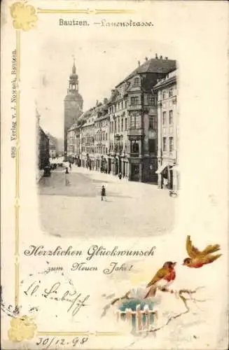 Ak Bautzen in der Oberlausitz,  Lanenstraße, historische Architektur, Neujahrsgrüße, Vögel