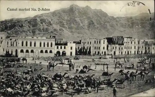 Ak Aden Jemen, Camel market