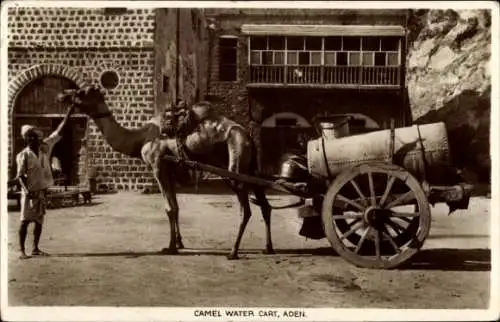 Ak Aden Jemen, Camel Water Cart