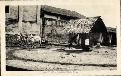 Ak Singapore Singapur , Mühle, zwei Ochsen, Strohdach, historische Szenerie