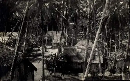 Ak Singapore Singapur , Dorfansicht, palmengesäumte Häuser, Einblicke in die Natur