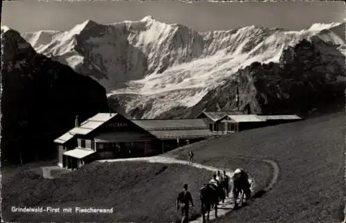 Ak Grindelwald Kanton Bern, Schreckhörner und Fischerwand, Bergrestaurant First