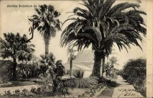 Ak Belém Lisboa Lissabon Portugal, Botanischer Garten, Palmen, architektonische Strukturen