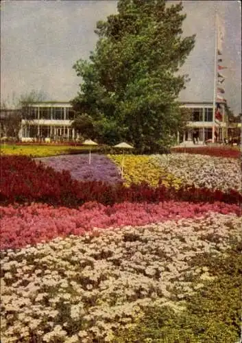 Ak Erfurt in Thüringen, Große Blumenwiese, internationale Gartenbauausstellung