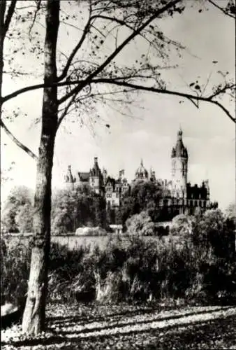 Ak Schwerin in Mecklenburg, Schloss  umgeben von Bäumen und Wasser