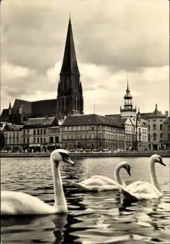 Ak Schwerin in Mecklenburg, Blick auf  Dom, drei Schwäne im Wasser