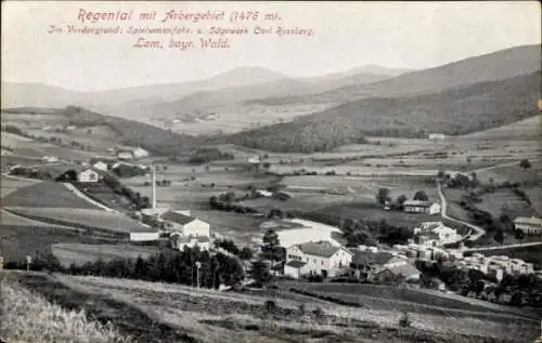 Ak Lam Bayrischer Wald, Panorama, Regental, Arbergebiet, Spielwarenfabrik und Sägewerk Carl Rossberg