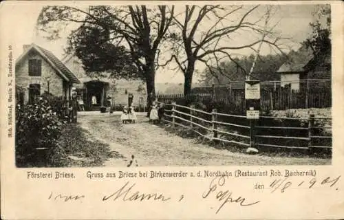 Ak Briese Birkenwerder an der Nordbahn, Försterei Briese, Restaurant Rob. Bachernik