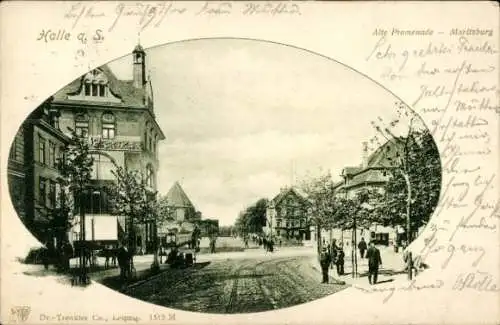 Ak Halle a. Saale, Alte Promenade, Moritzburg 