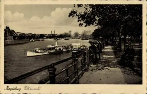 Ak Magdeburg an der Elbe, Promenade, Elbe, Dampfer
