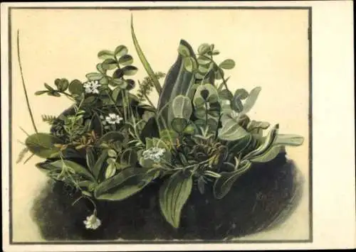 Künstler Ak Dürer, Albrecht, Kleines Rasenstück