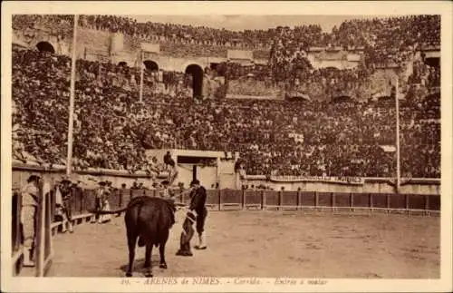 Ak Nîmes Gard, Stadion, Stier, Menschenmenge, Corrida