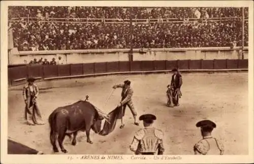 Ak Nîmes Gard, Stierkampf, Arena, Zuschauer, Pferd, Matador