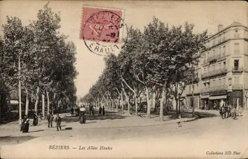 Ak Béziers Hérault, ,  Les Allées Hautes, Straßenansicht, Bäume, historische Gebäude