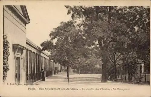 Ak Paris V, Jardin des Plantes, Bäume, Spazierweg, Häuser