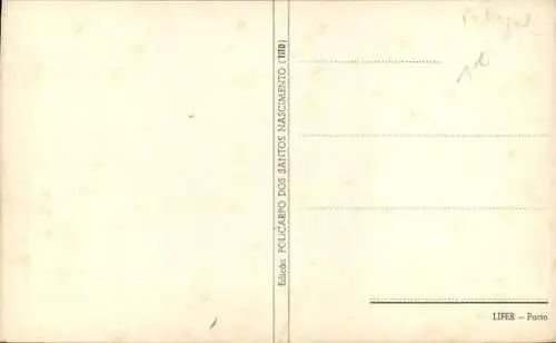 Ak Portugal, Anlage am Castello Branco