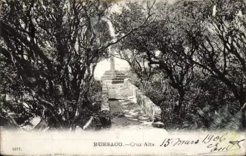 Ak Buçaco Bussaco Portugal, Waldweg zu einem Kreuz, Fotografie, Schwarz-Weiß, nmotiv