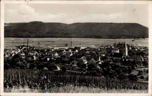 Ak Erzingen Balingen in Württemberg, Schöne Aussicht auf die Stadt, Kirche, Weinberge im Vordergr