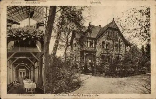 Ak Coswig in Sachsen, Gärtnerli Gewächshaus, Albertvilla, Verbindungsgang, Heilstätte Lindenhof