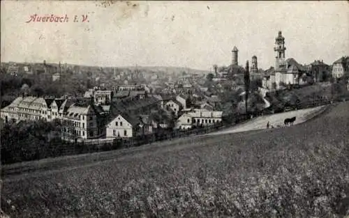 Ak Auerbach im Vogtland, Stadtansicht,  Gebäude, Landschaft, Kirche, Wiese