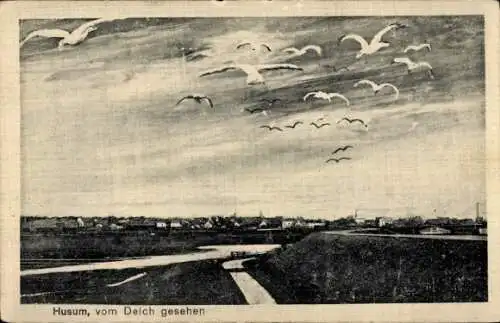 Ak Husum in Nordfriesland, Gesamtansicht, Blick vom Deich