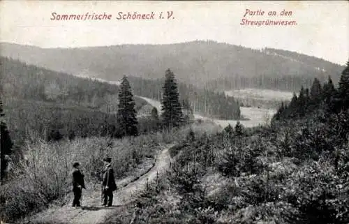 Ak Schöneck Vogtland, Partie an den Streugrünwiesen